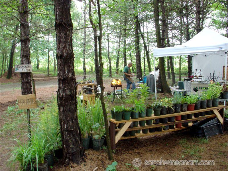 DSC00795