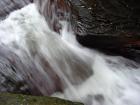 DSC00350