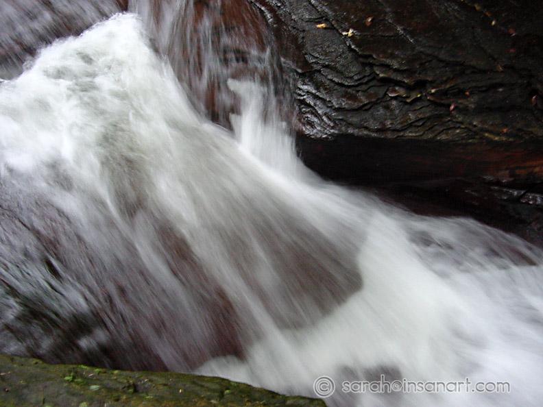 DSC00350