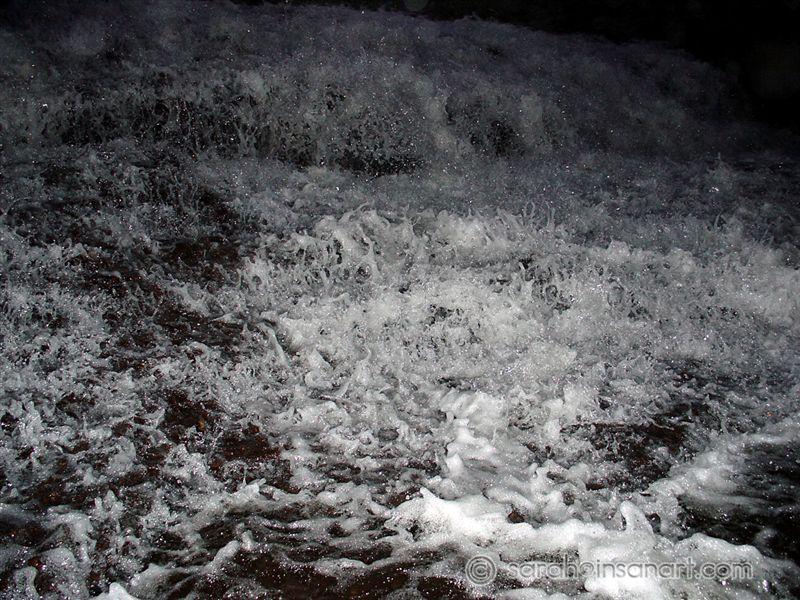 DSC00675