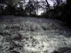 DSC00681