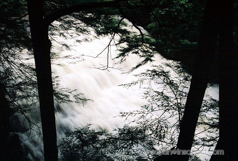 fallbrook3