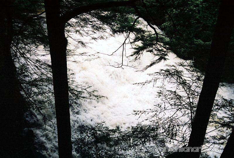fallbrook5