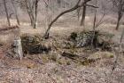 DSC_6449