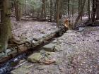Fall Brook, PA "Suburb"