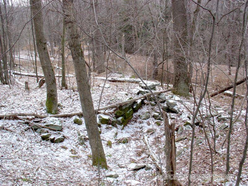 DSC07056
