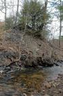 DSC_6405