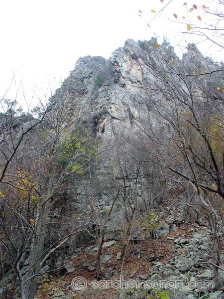 DSC06669