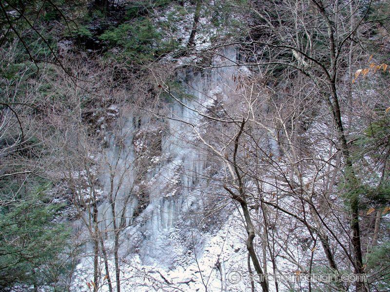 DSC07168