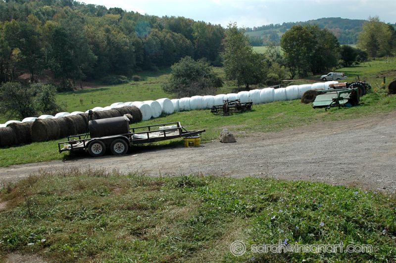 Pipeline work being done on farm N of well, 2