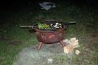 On Fire #2: Veggies & Sausages