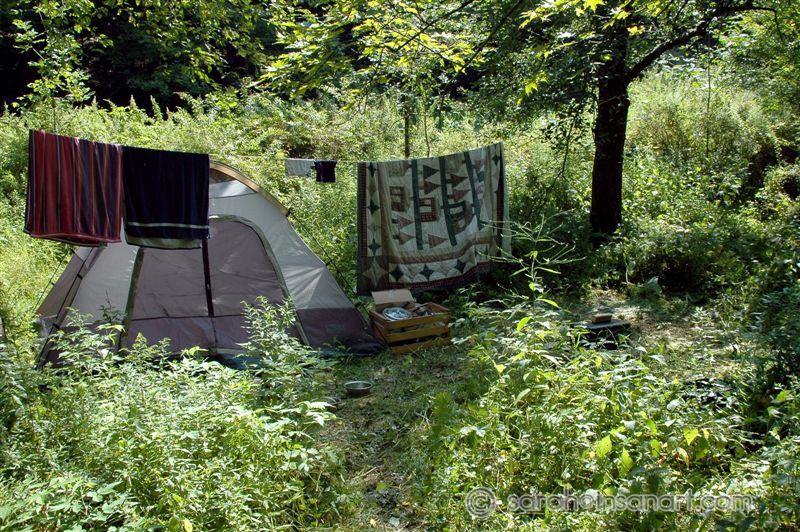 Matt & Kat's cute little corner