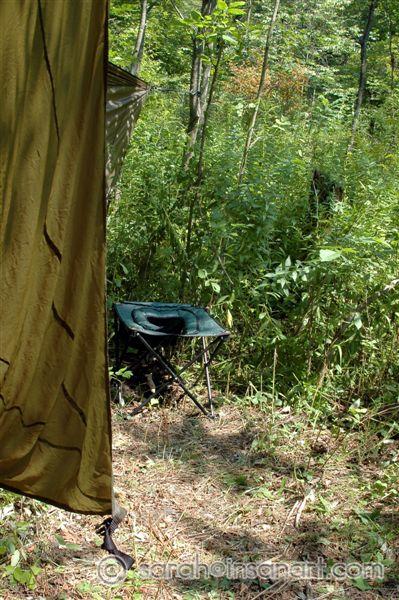 The ladies latrine - for pee only!