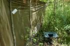 The ladies latrine 2