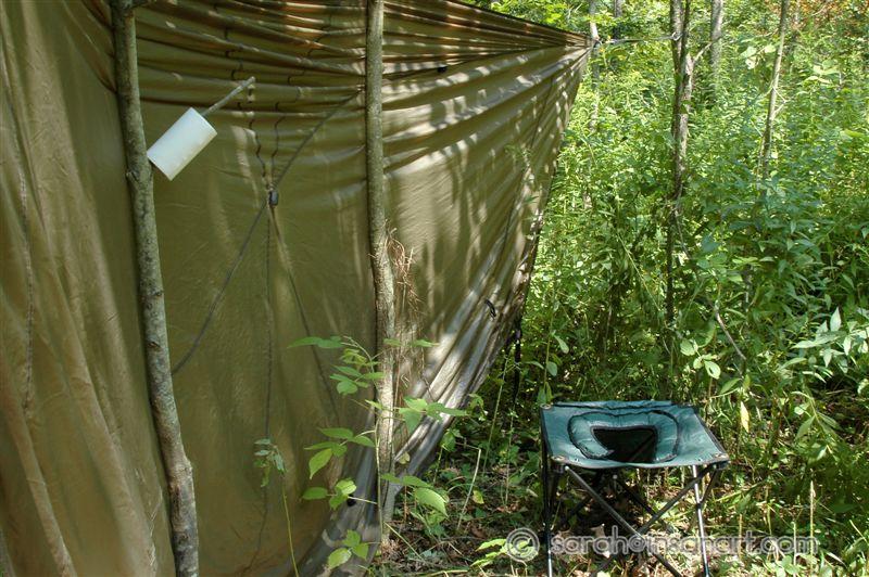 The ladies latrine 2