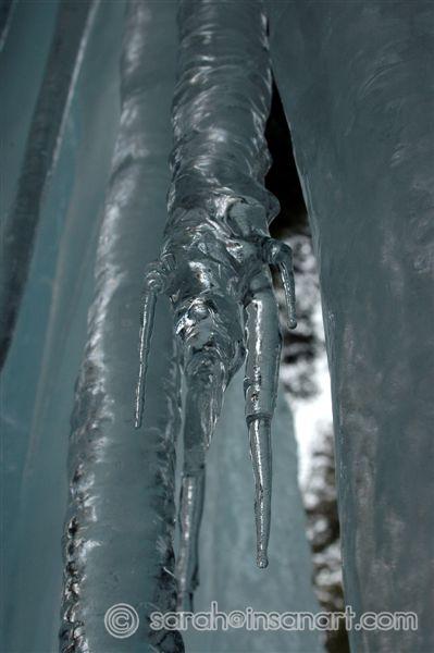 DSC_0872