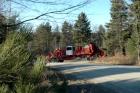 RR - FBR - Massive Truck Convoy