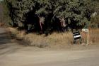 RR - FBR - Signs, flags and ruts