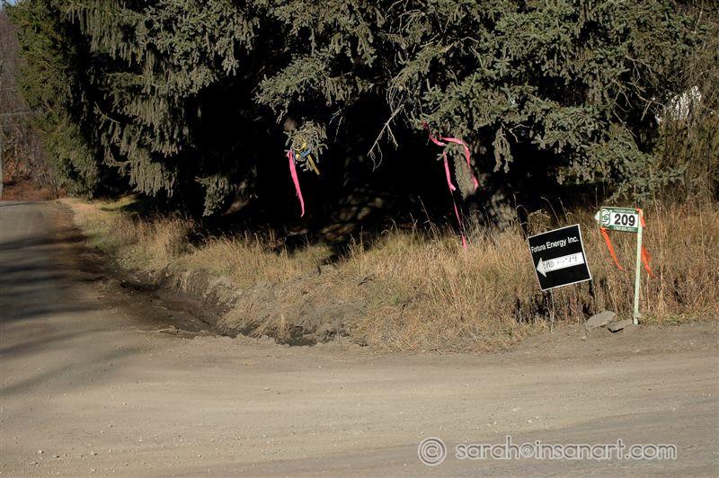 RR - FBR - Signs, flags and ruts
