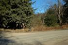 RR - FBR - Signs, flags, ruts and history