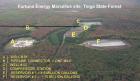 FCR - Tioga State Forest Tract 587
