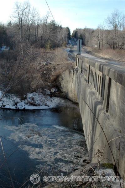 [JAN] "Gunk" frozen in ice sheet under bridge over Fall Brook Cr. (2)