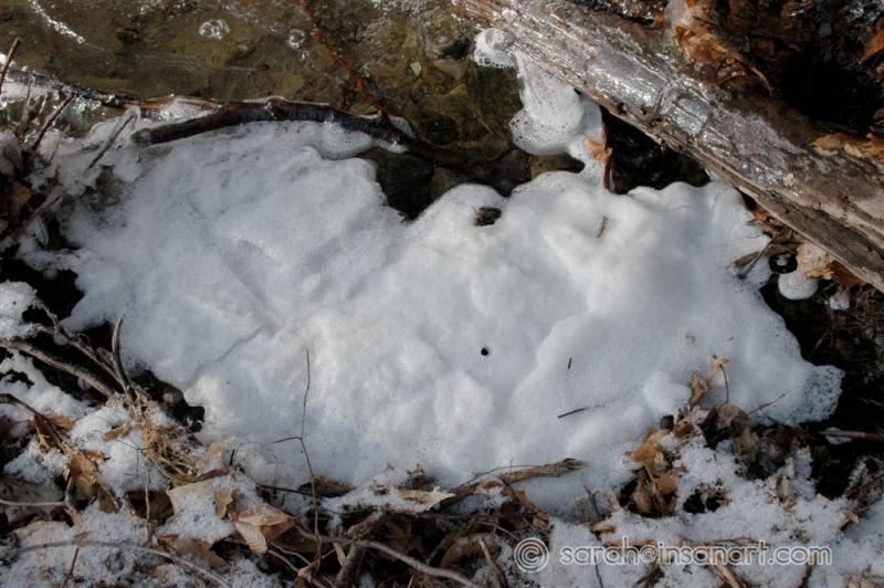 [JAN] Foam in tributary S. of Fellows Cr. Rd. Activity