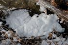 [JAN] Foam in tributary S. of Fellows Cr. Rd. Activity