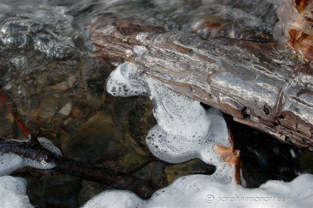[JAN] Foam (stuck to ice) in tributary S. of Fellows Cr. Rd. Activity