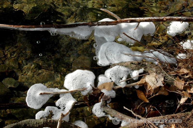 [JAN] Foam in tributary S. of Fellows Cr. Rd. Activity (3)