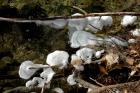 [JAN] Foam in tributary S. of Fellows Cr. Rd. Activity (3)