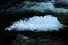 [JAN] DISTURBING FOAM DISCS BELOW FALL BROOK FALLS!
