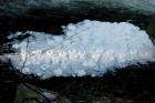 [JAN] DISTURBING FOAM DISCS BELOW FALL BROOK FALLS! (2)
