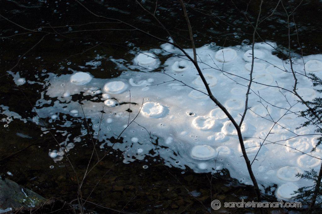 [JAN] DISTURBING FOAM DISCS BELOW FALL BROOK FALLS! (3)