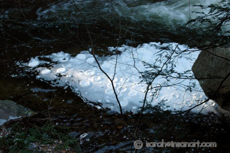 [JAN] DISTURBING FOAM DISCS BELOW FALL BROOK FALLS! (4)