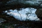 [JAN] DISTURBING FOAM DISCS BELOW FALL BROOK FALLS! (4)