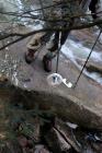 [JAN] My Husband fishes for Foam Discs... (2)