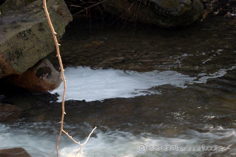 [MAR] DSC_7016