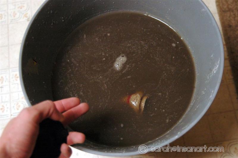 NASTY bucket of mold water!