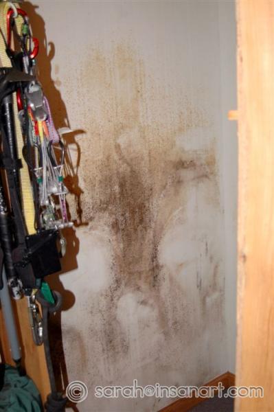 Bedroom - Before cleaning 10