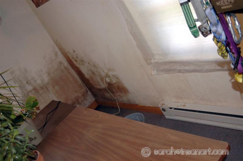 More Bedroom - before cleaning