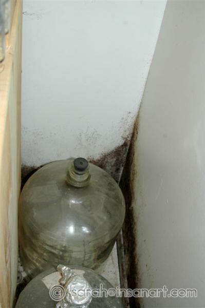 Kitchen mold