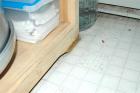 Damaged furniture (in kitchen)