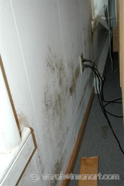 More bedroom mold