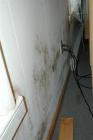 More bedroom mold