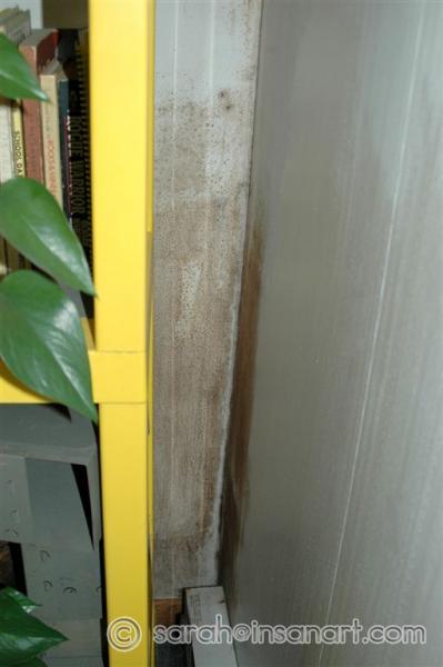 More bedroom mold 2