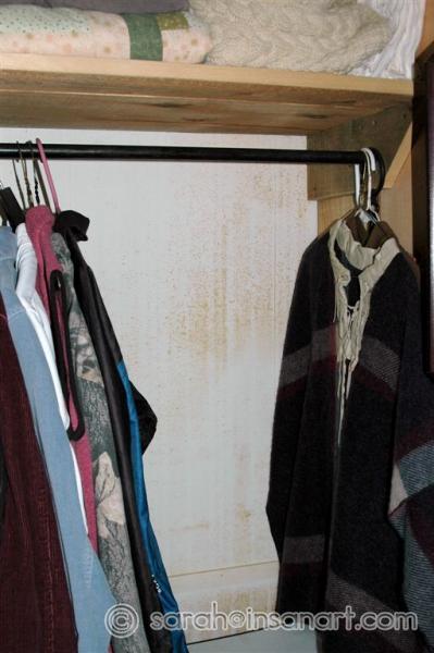 Mold in my closet