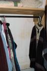 Mold in my closet