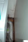 More baseboard mold