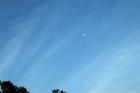 DSC_7707